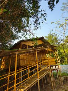 a bamboo house with a porch and a tree at Dodo's Bamboo Resort in Rāja Māyang