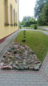 Ogród w obiekcie Apartament Parkowy