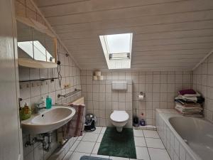 a bathroom with a sink and a toilet and a tub at Appartements & Ferienwohnungen Wolf in Usingen +52 photos