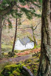 a small white house in the middle of a forest at Sawmill Cottage in Acharacle