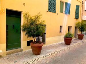 three potted trees inront of a building with a green door at Le Sémillon in Bandol