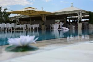 a white flower in the water in a swimming pool at La Meridiana in Lanuvio
