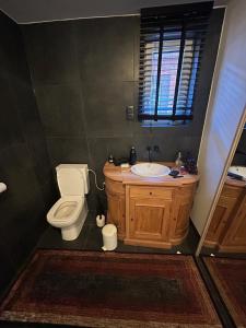 a bathroom with a toilet and a sink at Steves place Temse in Sint-Niklaas +10 photos