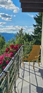 a wooden bench sitting on a balcony with flowers at Cabana Valea Lupilor in Straja