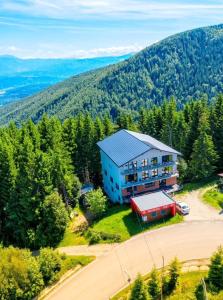 an aerial view of a house in the mountains at Cabana Valea Lupilor in Straja +10 photos