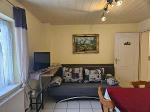 a living room with a couch with pillows on it at Appartements & Ferienwohnungen Wolf in Usingen
