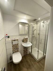 ein Badezimmer mit Dusche, Toilette und Waschbecken in der Unterkunft Ferienapartments Zwingenberg in Zwingenberg + 41 Fotos