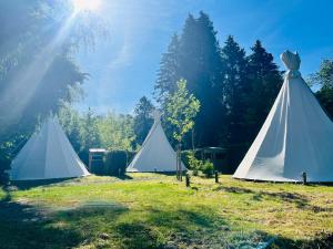 a group of three tents in a field at Arkeo - Luxury tents and cabins at the river in Nonceveux