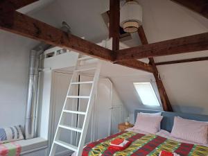a loft bed with a ladder in a bedroom at Casa di Kola in Zutphen