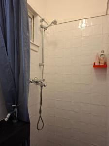 a shower with a blue shower curtain in a bathroom at Casa di Kola in Zutphen