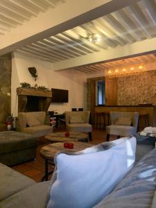 a living room with a couch and chairs and a fireplace at Gite Fond des Vaulx in Marche-en-Famenne
