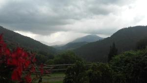 プラノレスにあるCal Sadurníの山々を背景にした渓谷の景色