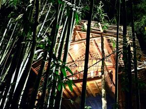 a building in the middle of a forest of trees at Napong Ecolodge in Lung Co (1)
