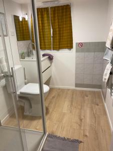 a bathroom with a toilet and a sink and a shower at Cosy New Studio 2 min RER B in Aulnay-sous-Bois