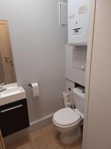 a small bathroom with a toilet and a sink at Résidence des sables in Brussels +8 photos