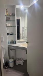 a bathroom with a sink and a mirror at Ferienwohnung Phin in Sankt Englmar, mit Pool, activCard und Smart TV in Sankt Englmar