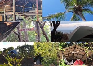 a collage of photos with a palm tree and a tent at EcoCamping da Wandinha in Cabo de Santo Agostinho