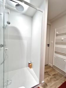 a bathroom with a shower with a glass door at Le Petit Héros Gîte in Courlay