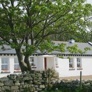 a tree in front of a white house with a stone wall at Rural Donegal cottage near sandy beaches in Clonmany