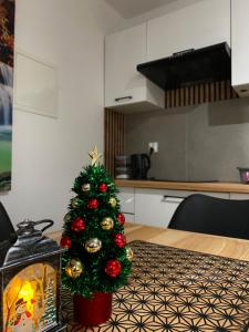 a christmas tree on a table in a kitchen at Zacisze nad wodą in Strzegocice