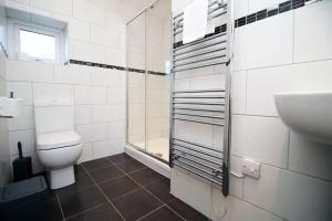 a bathroom with a toilet and a sink at Rustic Retreat Opposite Stadium in Cardiff