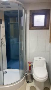 a bathroom with a shower and a toilet in it at Cabañas lugar de Refugio in Queilén