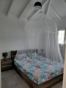a bedroom with a bed with a mosquito net at Villa de charmes in Capesterre +13 photos