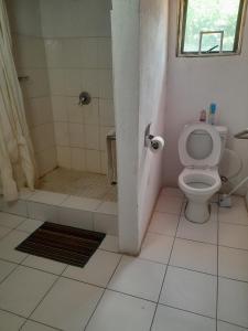 a bathroom with a toilet and a shower at Dudes guesthouse in Francistown