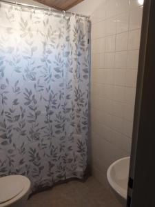 a bathroom with a shower curtain with a toilet and a sink at Vientos del Lago - Tu refugio en la Patagonia in Los Antiguos +21 photos