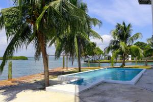 a swimming pool with a palm tree next to the water at Harbour Place Suites in Placencia
