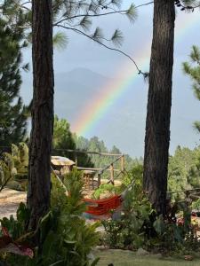 a rainbow over a hammock between two trees at Camping- Sanagua Lodge in El Copé