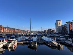 a bunch of boats are docked in a harbor at Three bed apartment in the Tower in Swansea