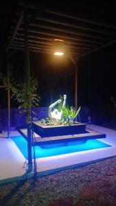 ein nachts beleuchtetes Schwimmbad mit einem Licht in der Unterkunft Casita Bonita in Villafamés