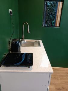 a kitchen counter with a sink and a tea pot on it at Lux tree house karen in Nairobi +5 photos