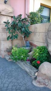A garden outside Hostal Sant Roc