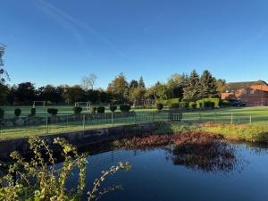 a body of water with a field in the background at Bauernhuus 6 in Fehmarn +37 photos