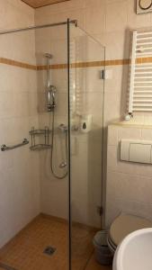 a bathroom with a glass shower with a toilet at Landhotel Sperlingsberg in Crimmitschau