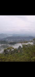 Gallery image of Ohiya forest rim in Nikawatawana +27 photos