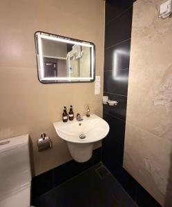 a bathroom with a white sink and a mirror at Ace Lagoon View Airport Hotel in Katunayaka
