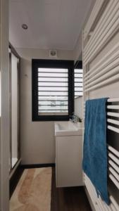 a bathroom with a sink and a window at Wasservilla freiZeit Usedom in Peenemünde