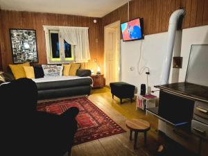 a living room with a bed and a tv and a couch at Simina kuća in Bajina Bašta