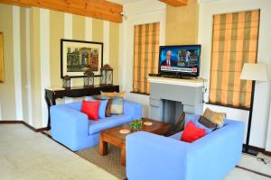 a living room with two blue couches and a tv at Unique Cottages in Nuwara Eliya
