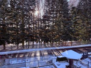 a swimming pool covered in snow next to trees at Fichtenblick in Selb +3 photos