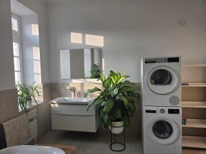 a bathroom with a washing machine and a sink at Rooms in Maribor Centre in Maribor