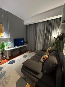 a living room with a couch and a tv at Divine Studio Fermei 62 in Popeşti-Leordeni +16 photos