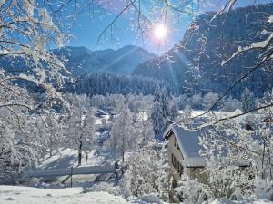a snow covered valley with a house and trees at Alpenwohnung "Zum Schorschi" mit Bergblick I voll ausgestattet I ruhige Lage in Oberammergau +8 photos