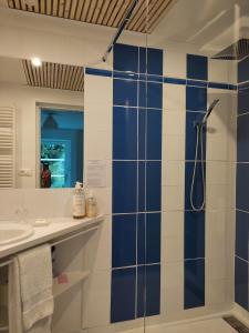 a bathroom with a shower with blue and white tiles at Le Logis du Pradet in Moncrabeau