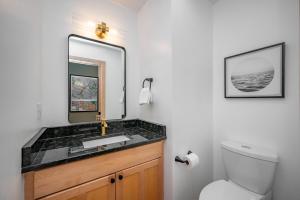 a bathroom with a sink and a toilet and a mirror at Chubby Bunny Lodge by Railey Vacations in McHenry