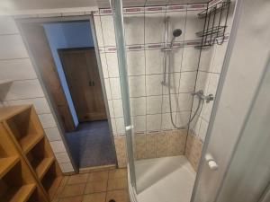 a shower with a glass door in a bathroom at Apartmán U Vaňků in Jáchymov +15 photos
