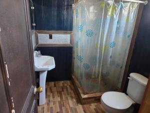 a small bathroom with a toilet and a sink at Cabañas de Turismo Berolav7 in Puerto Montt +4 photos